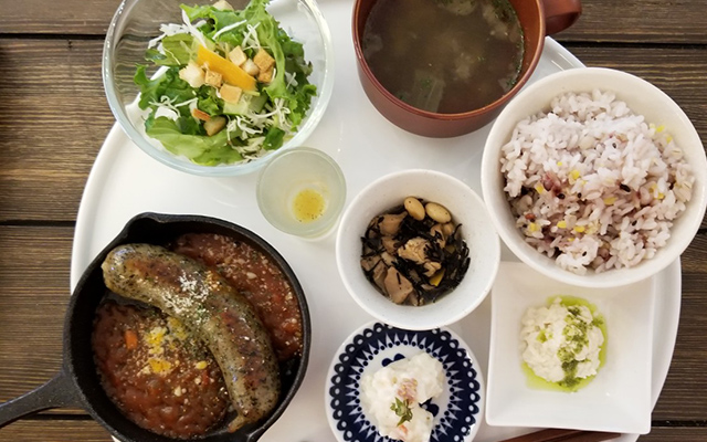 日替わりワンプレートランチ